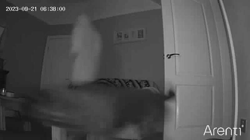 Victoria Hepworth and Joe Shard was dog-sitting for her sister when she noticed a strange figure (Image: Kennedy News and Media)