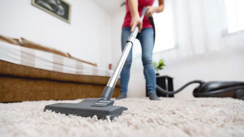 The bed bug infestation is reaching the UK (stock photo) (Image: Getty Images)