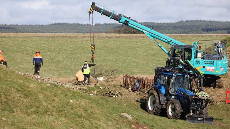 A crane was brought into place to carefully remove the tree from Hadrian