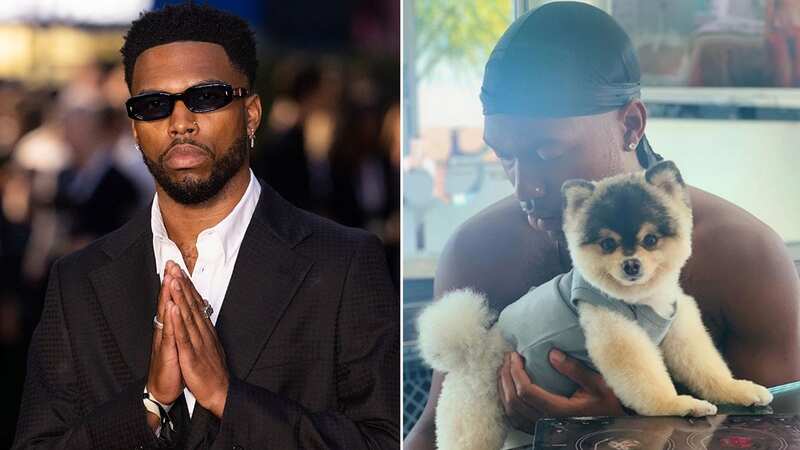 Sturridge wanted by police as arrest warrant issued over missing dog reward