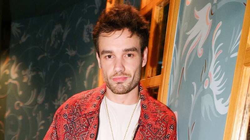 Liam Payne spotted in Northern Ireland weeks after cancelling tour amid health scare (Image: Matteo Prandoni/BFA.com/REX/Shutterstock)