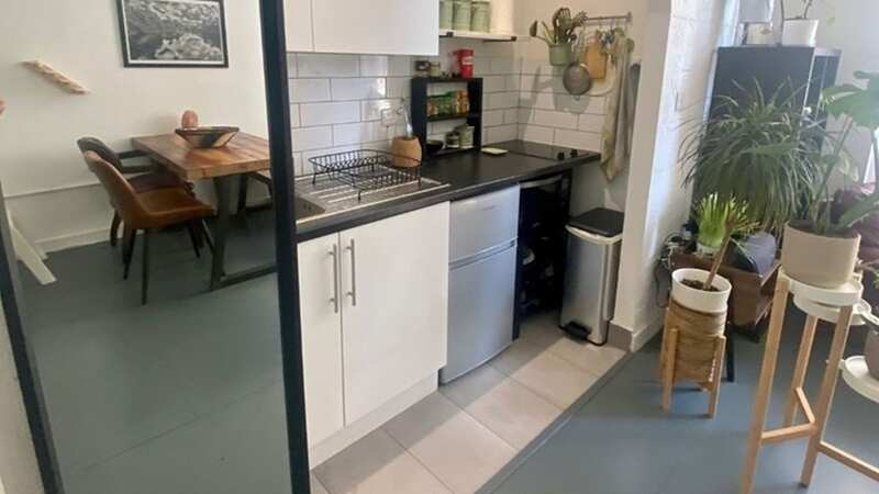 Tenants will be charged £1,600-a-month at the tiny studio flat - and will need to water the landlady