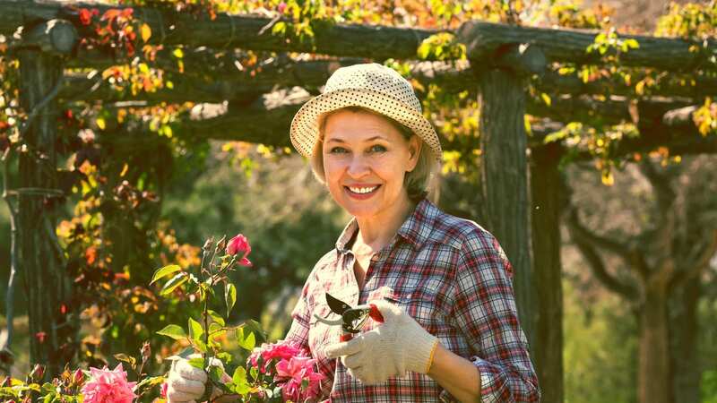 Pruning roses too late in the year can kill off new growth. (Stock Photo) (Image: shared content unit)