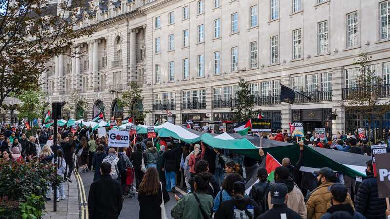 Protesters marched in London to support Palestinians yesterday (Image: Getty Images)