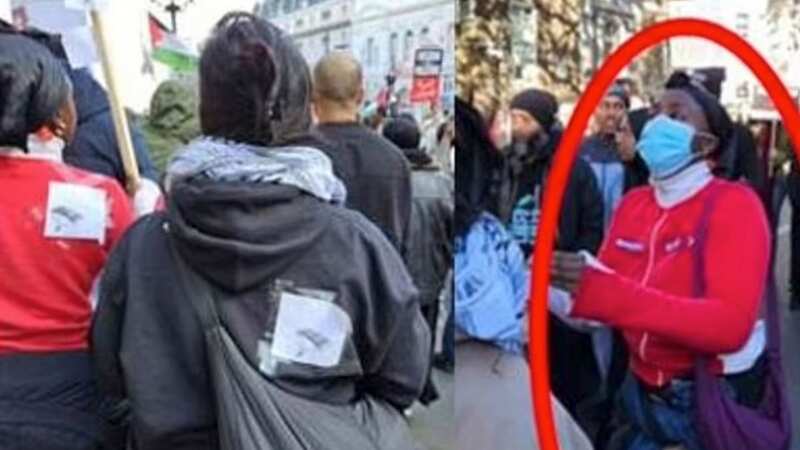 The Met Police are looking for help identifying two protesters (Image: Met Police)
