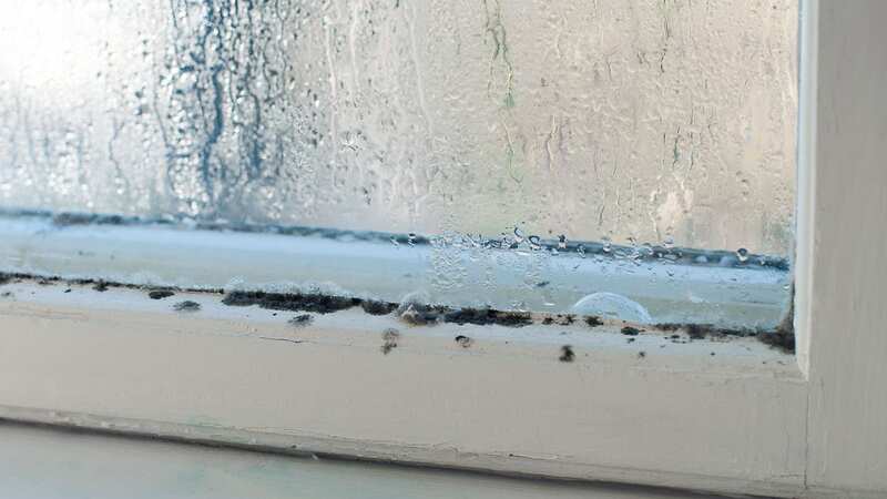People have been left fustrated over condensation forming on their windows (Image: Getty Images/iStockphoto)