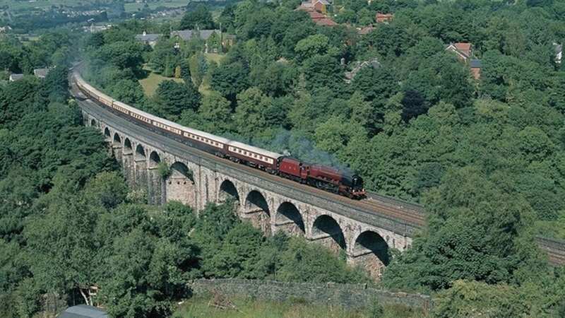 The train will park on a viaduct at Arnside for a bird