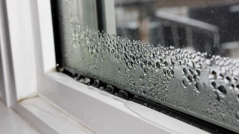 Condensation can lead to mould (Image: Getty Images/iStockphoto)
