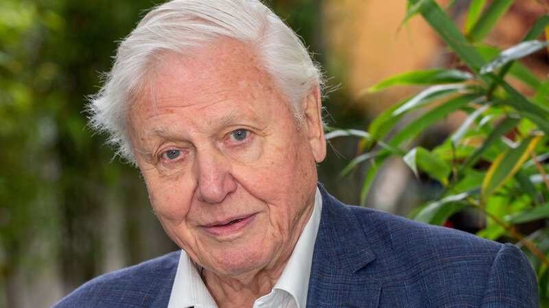 Sir David Attenborough has topped a list of the best British celebrity voices (Image: SWNS)