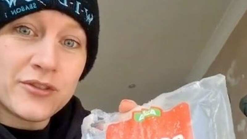 The woman revealed you only need salt and cat litter (Image: tiktok.com/@fenrahalesari/)