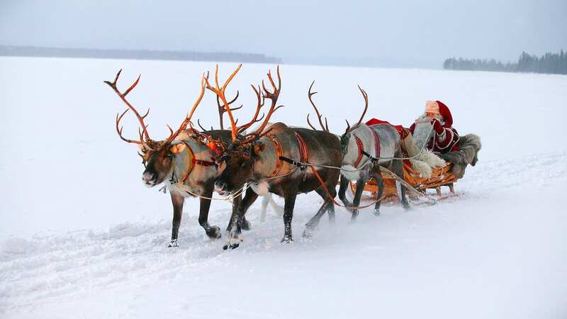 A visit to Lapland makes for a magical Christmas