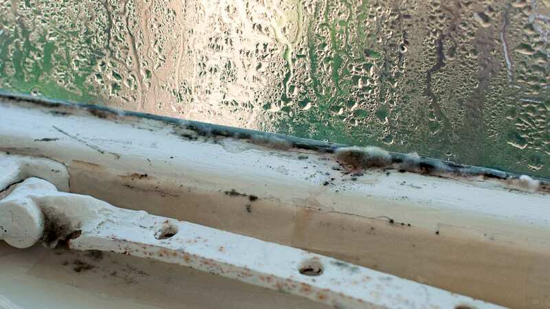 Condensation and the associated humidity can cause mould in your home. (Stock Photo) (Image: Getty Images/iStockphoto)