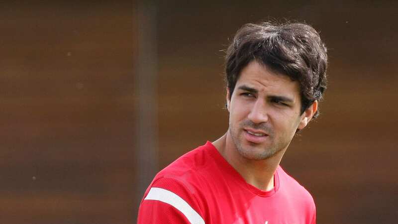 Cesc Fabregas left Arsenal in the summer of 2011 (Image: Tom Dulat/Getty Images)