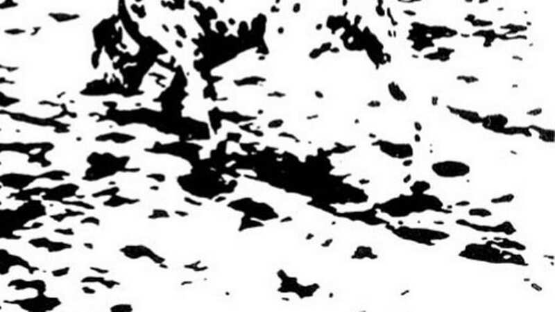 This black-and-white optical illusion has hidden dog - but can you find it? (Image: Sourced)