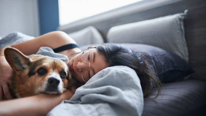 The woman says her dog is like family (stock photo) (Image: Getty Images)