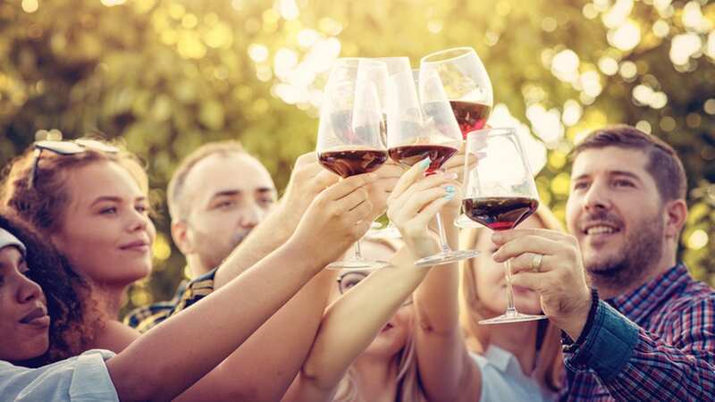 Frothing your next glass of red wine will expand its subtle flavours (Stock Photo) (Image: Getty Images/iStockphoto)