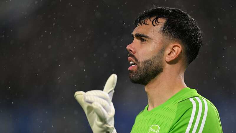 David Raya endured a game to forget vs Chelsea (Image: Michael Regan/Getty Images)