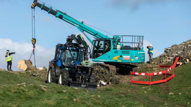 The sycamore gap tree was removed by a crane (Image: Lee McLean/SWNS)