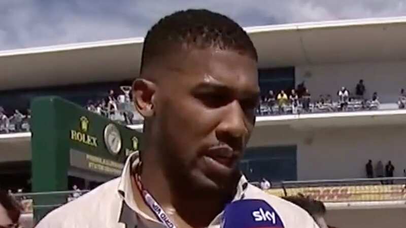 Anthony Joshua has confirmed plans to fight Deontay Wilder (Image: Sky Sports)