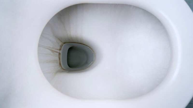 Stains in your toilet can be difficult to remove (Image: Getty Images/iStockphoto)