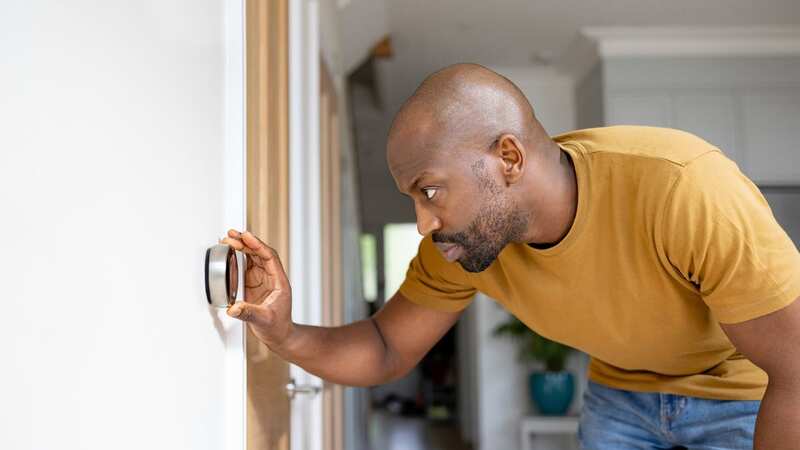 Adjusting the thermostat can have big benefits (Stock Image) (Image: Getty Images)