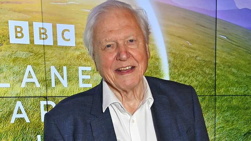 Sir David Attenborough’s beloved TV series ‘axed’ after just two seasons