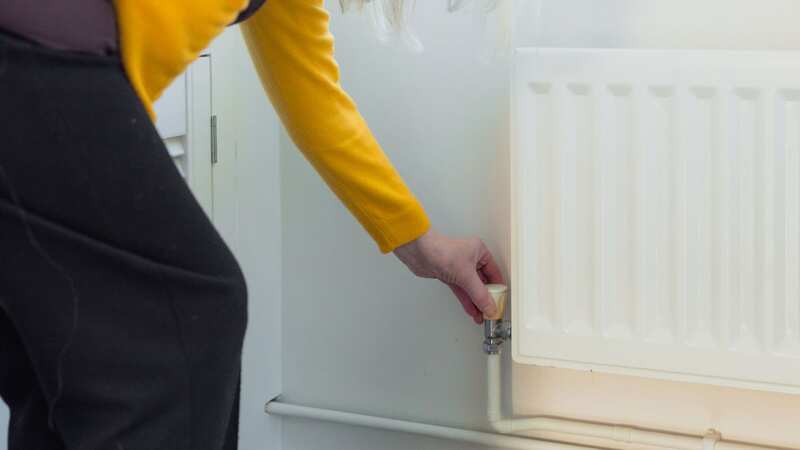 You could save hundreds of pounds on your energy bills (stock image) (Image: Getty Images/iStockphoto)
