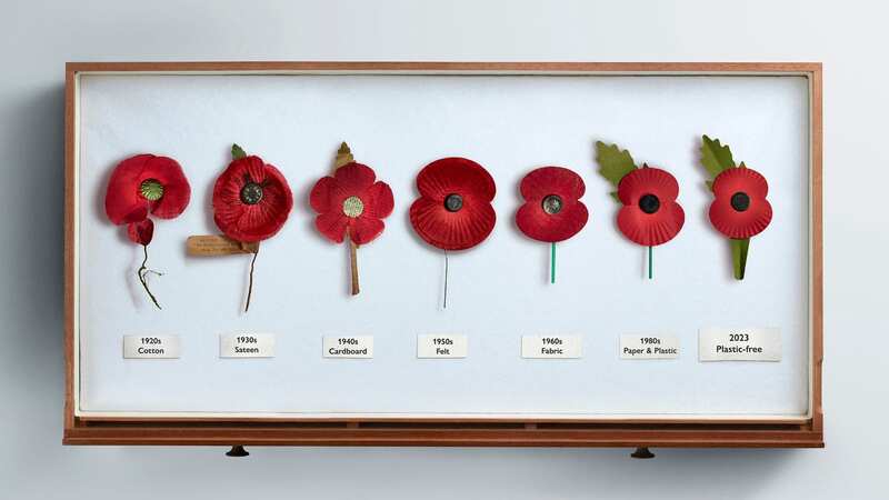 Remembrance Day poppies through the years (Image: PA)
