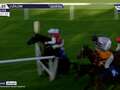 Jockey hit with 21-day ban after causing “mayhem’ by steering onto wrong course eiqrtiqzuidquinv