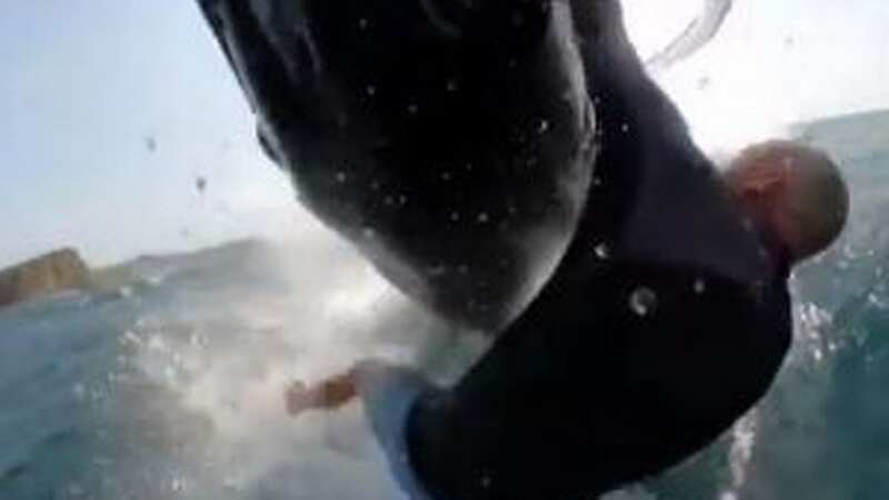 Terrifying moment whale body-slams surfer into the sea as he feared he would die