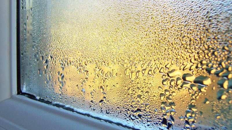 Condensation on our windows is a problem many people face as the temperatures drop (Stock Photo) (Image: Getty Images/iStockphoto)