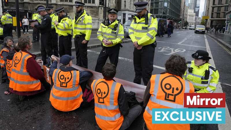 Just Stop Oil activists have been called on to shutdown London every day for nearly a month (Image: AP)