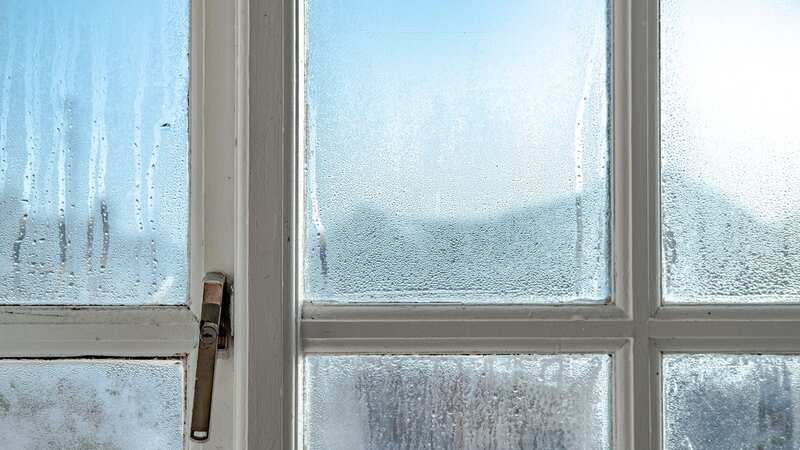 Condensation can be a real pain (Image: Getty Images/iStockphoto)