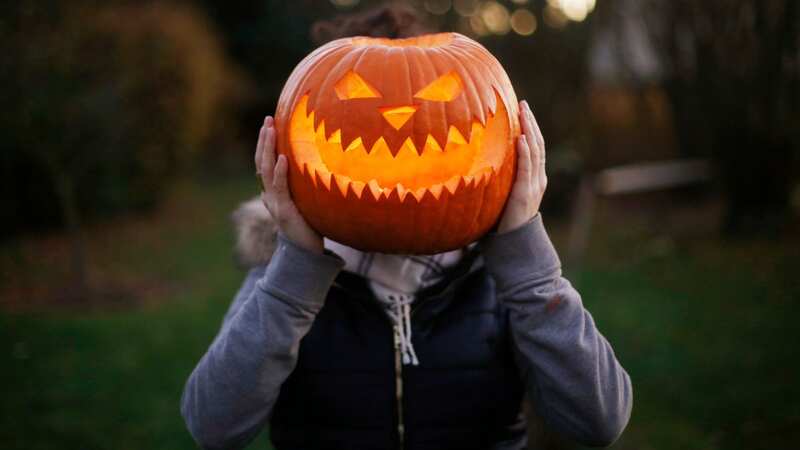Pumpkins are a much-wasted source of food that have many other uses (Image: Getty Images)