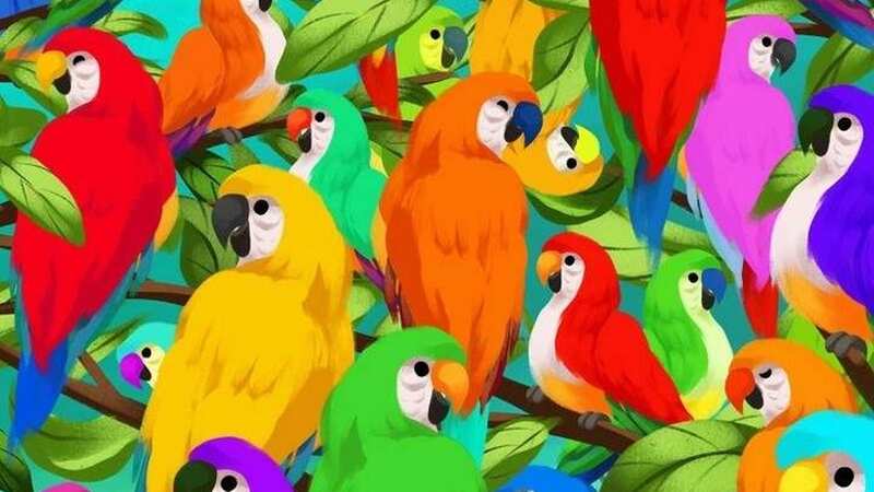 If you can find the chameleon in this illusion in nine seconds you