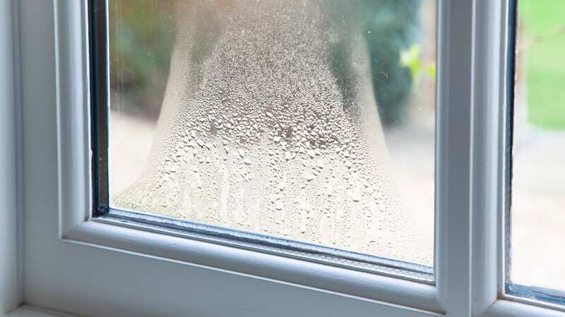Condensation in the mornings is normal during the winter (stock image) (Image: Getty Images)