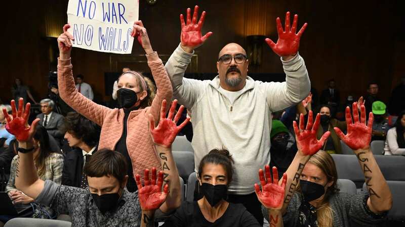 Protestors covered their hands in blood (Image: AFP via Getty Images)
