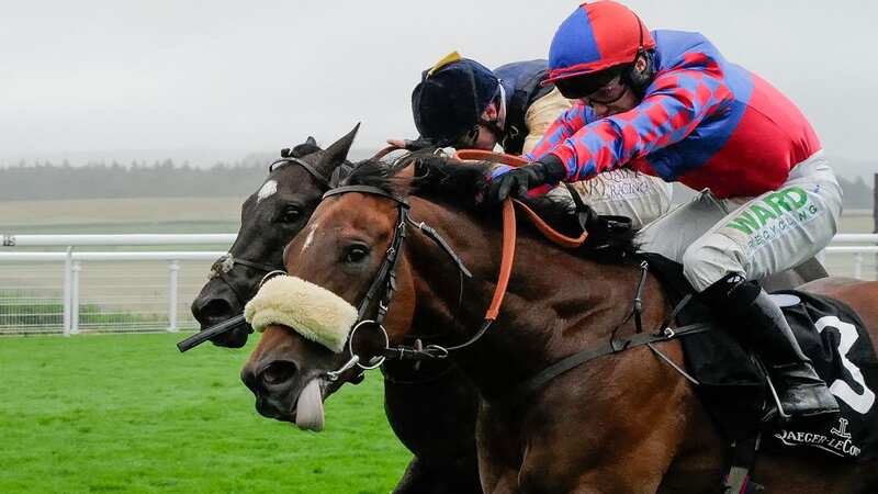 Big Evs won the Molecomb Stakes at Goodwood on rain-softened ground but is back on his favoured fast surface in America (Image: Getty)