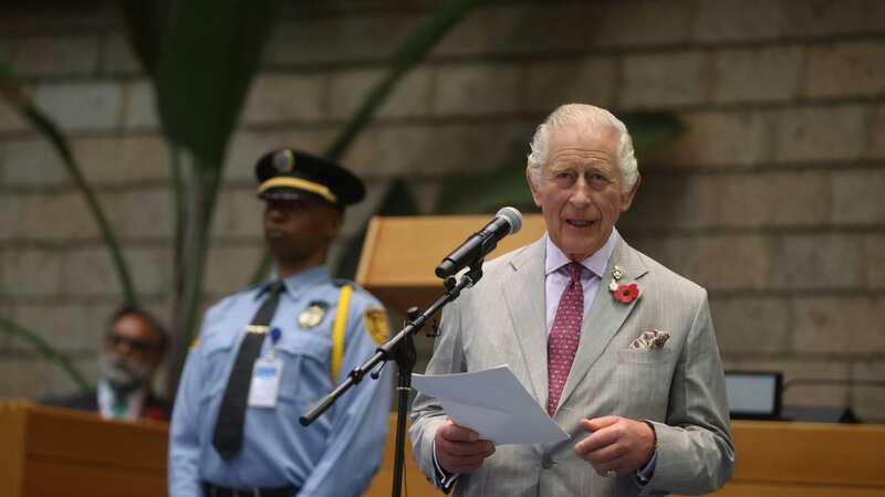 King Charles was praised for his speech at the United Nations Office (Image: Ian Vogler / Daily Mirror)