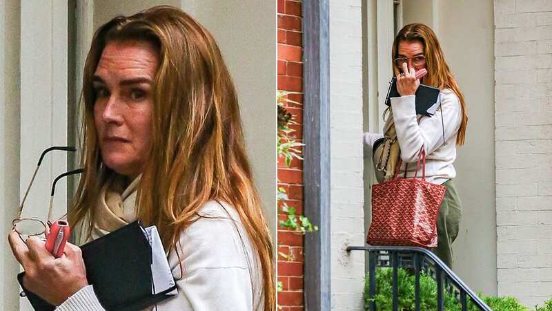 Brooke Shields suffered a seizure back in September, but now appears to be back to her usual self