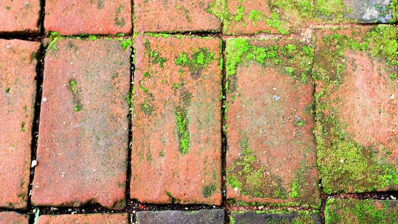Algae and moss can make paved areas slippery and dangerous. (Stock Photo) (Image: Getty Images/iStockphoto)