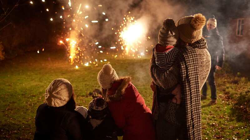 Bonfire Night is this Sunday (November 5) (Image: Getty Images)