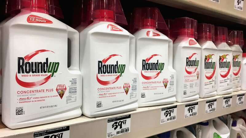 Roundup weed killing products are offered for sale at a home improvement store in Chicago, Illinois (Image: Getty Images)