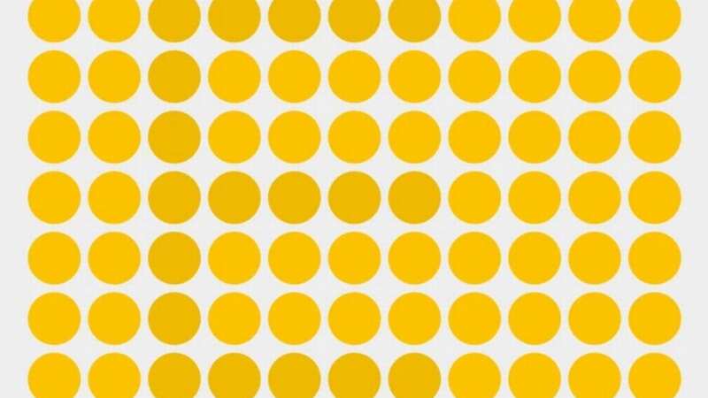 The tricky puzzle challenges you to find the hidden letter in the image (Image: brightside.me)