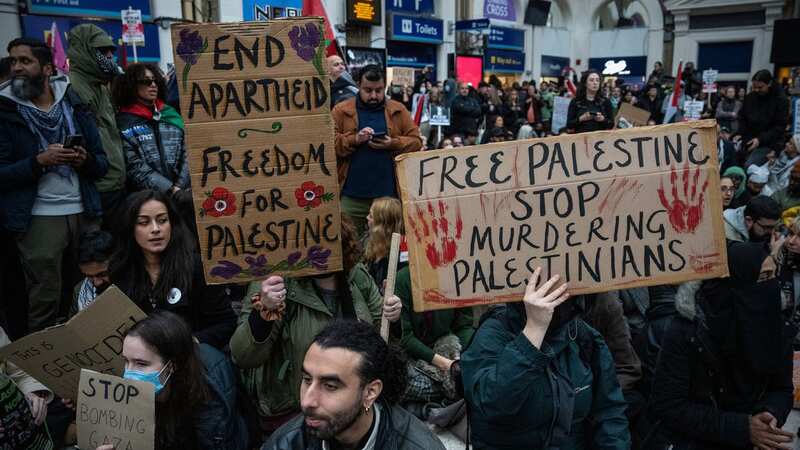 Pro-Palestinian demonstrators staged a sit-in at London