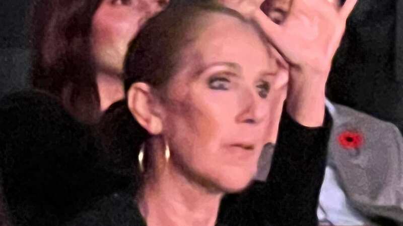 Celine Dion cheered along to Katy Perry (Image: MEGA)