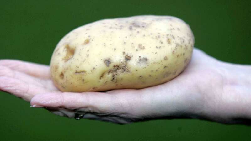 Spud ranks among the top three nicknames commonly given to Brits (Image: SWNS)