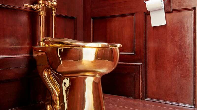 The solid gold toilet was stolen from Blenheim Palace, one of the UK