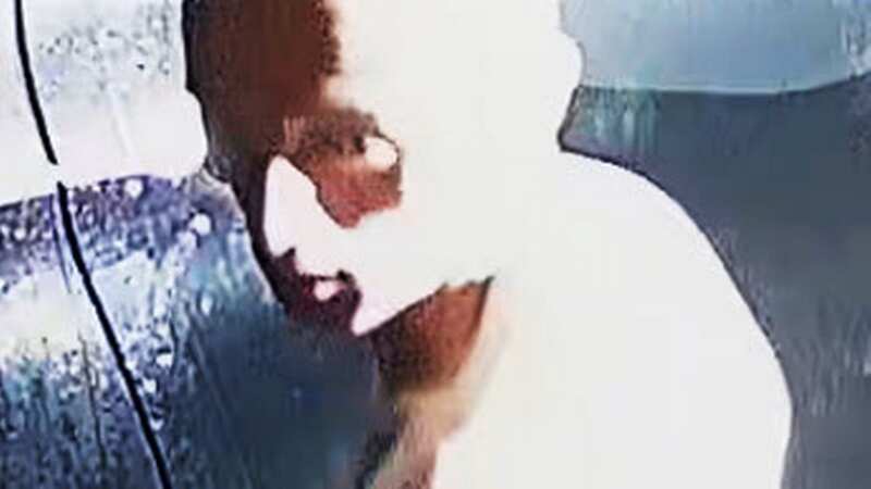 Greater Manchester Police are looking to identify and speak to this man