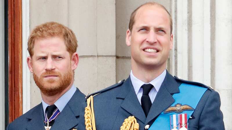 Prince William and Prince Harry have always known they were on differing paths (Image: Getty Images)